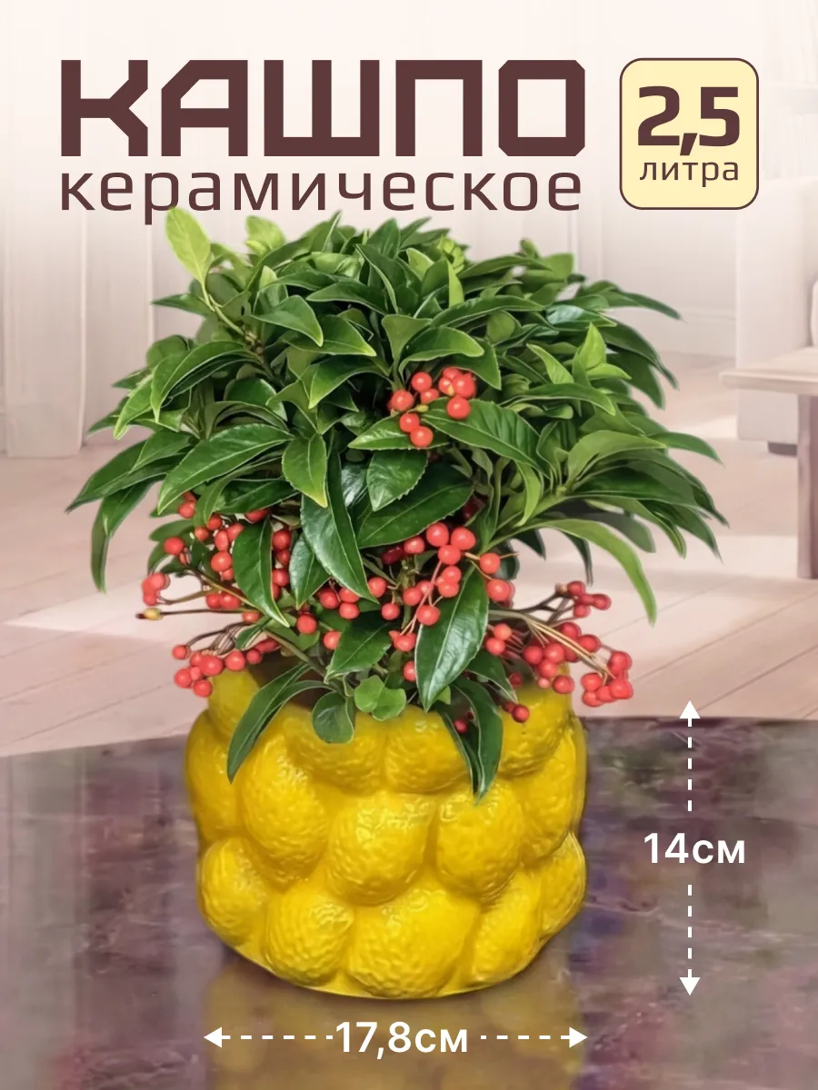 Керамическое кашпо с дренажным отверстием