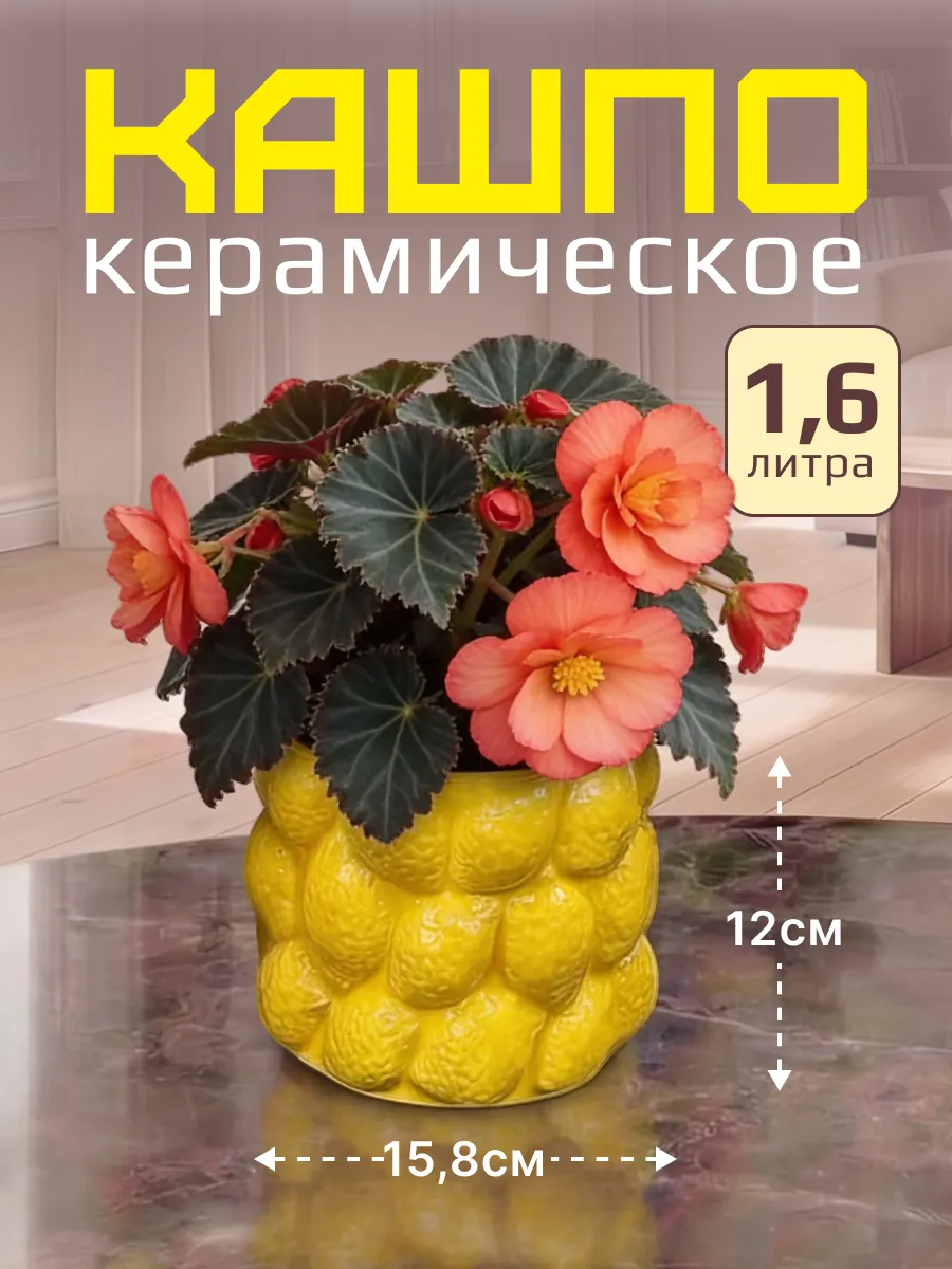 Керамическое кашпо для комнатных растений