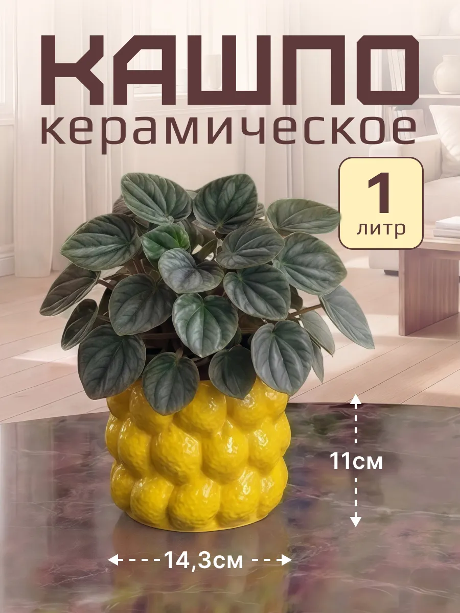 Керамическое кашпо для комнатных растений 1 литр