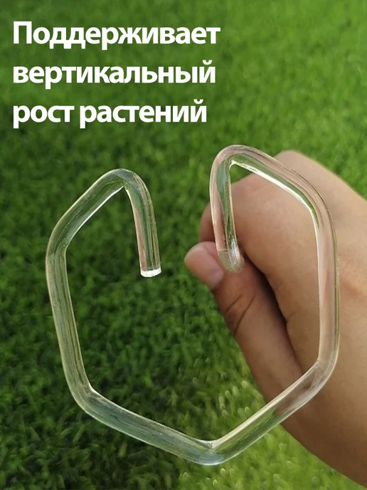 Прозрачные опоры для растений, 5 шт, 5 шт, фото 3