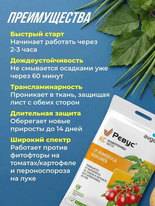 Avgust Ревус от фитофторы на томатах 3мл 3шт, 3 мл, 1 шт, фото 3