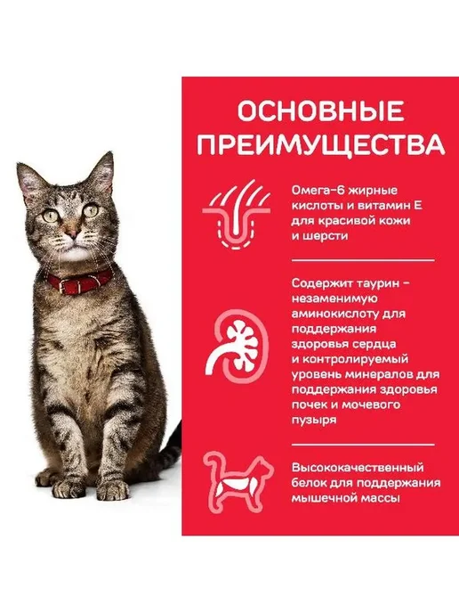 Сухой корм HILL'S Кошек для собак, 1,5 кг, фото 5