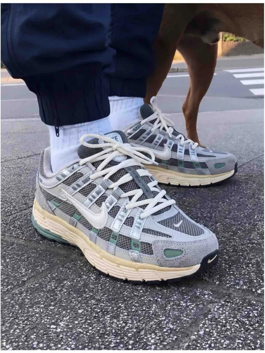 Кроссовки кеды Мужские Nike P-6000 спортивные