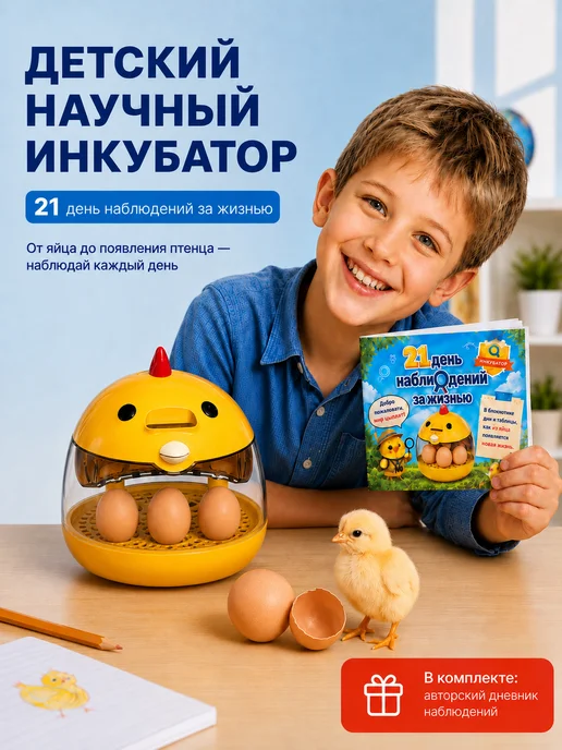 Домашний мини-инкубатор для яиц с овоскопом, вариант