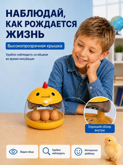 Домашний мини-инкубатор для яиц с овоскопом, вариант, фото 2