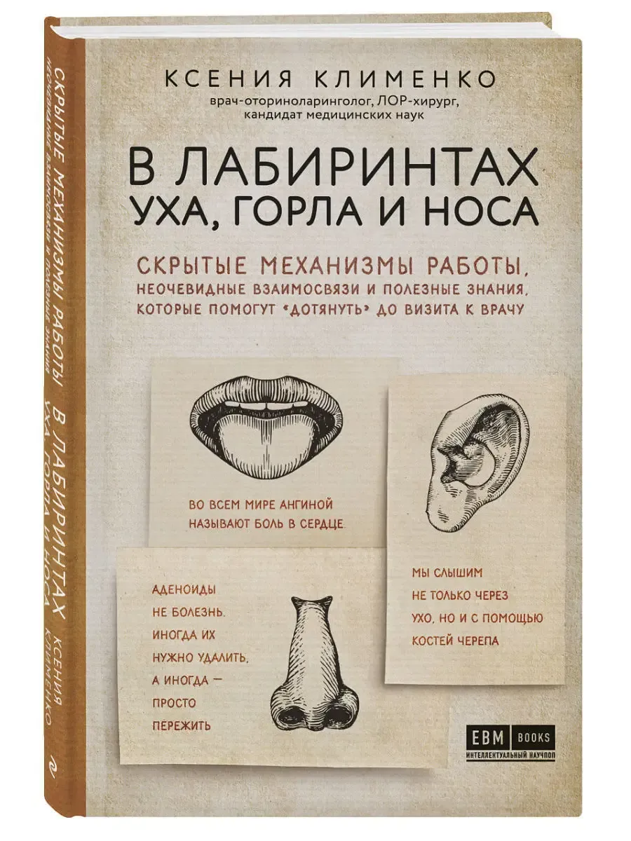 В лабиринтах уха, горла и носа. Скрытые механизмы работы