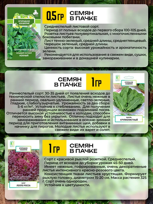 Агрохолдинг ПОИСК Семена зелени для подоконника и огорода, зеленый, фото 2