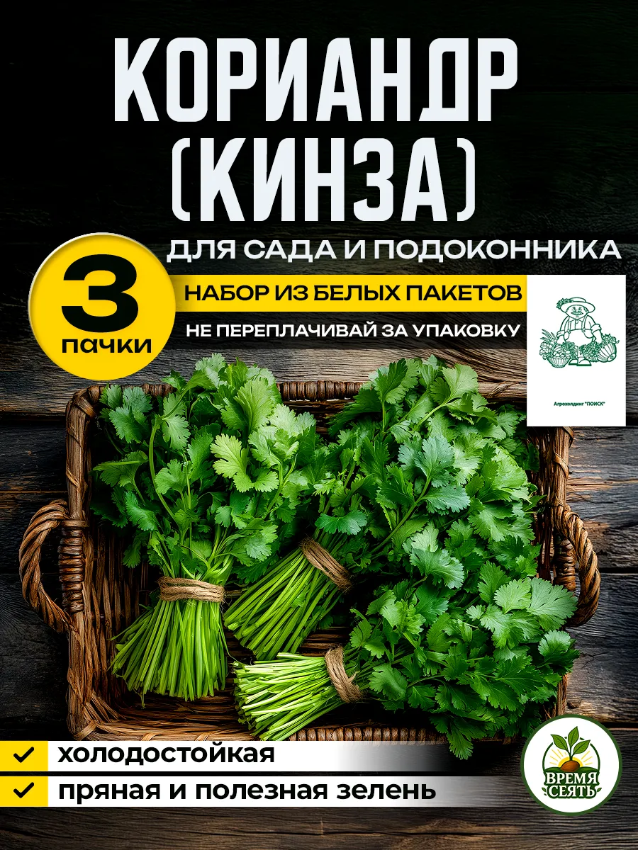 Семена кориандра для посадки на зелень