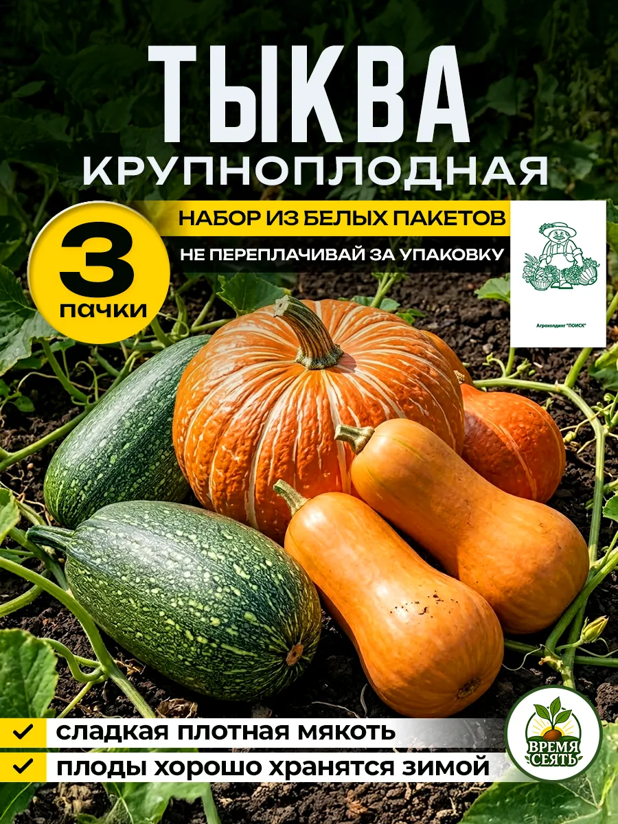 Семена тыквы сладкой крупноплодной