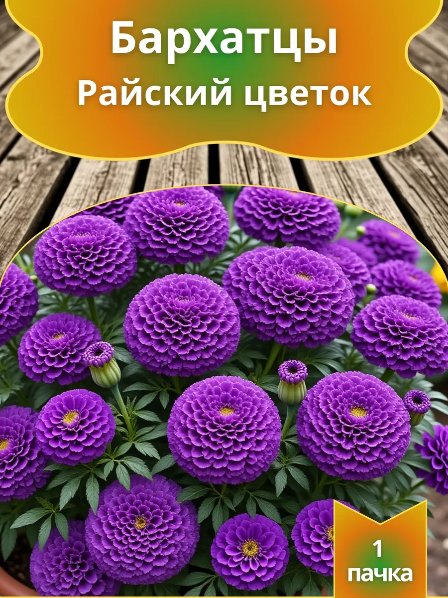 Бархатцы Райский цветок , семена 10 шт.