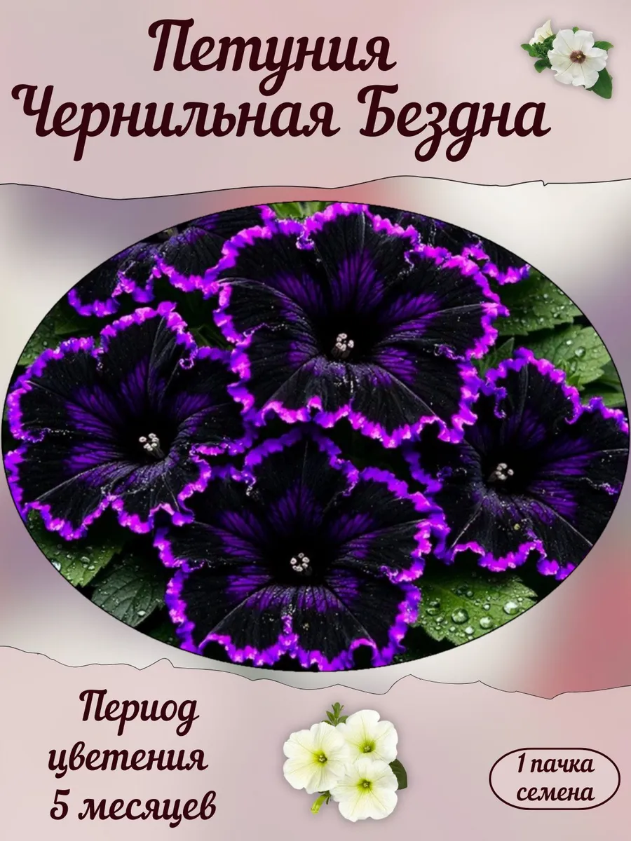 Петуния Чернильная Бездна, семена, 10 шт.